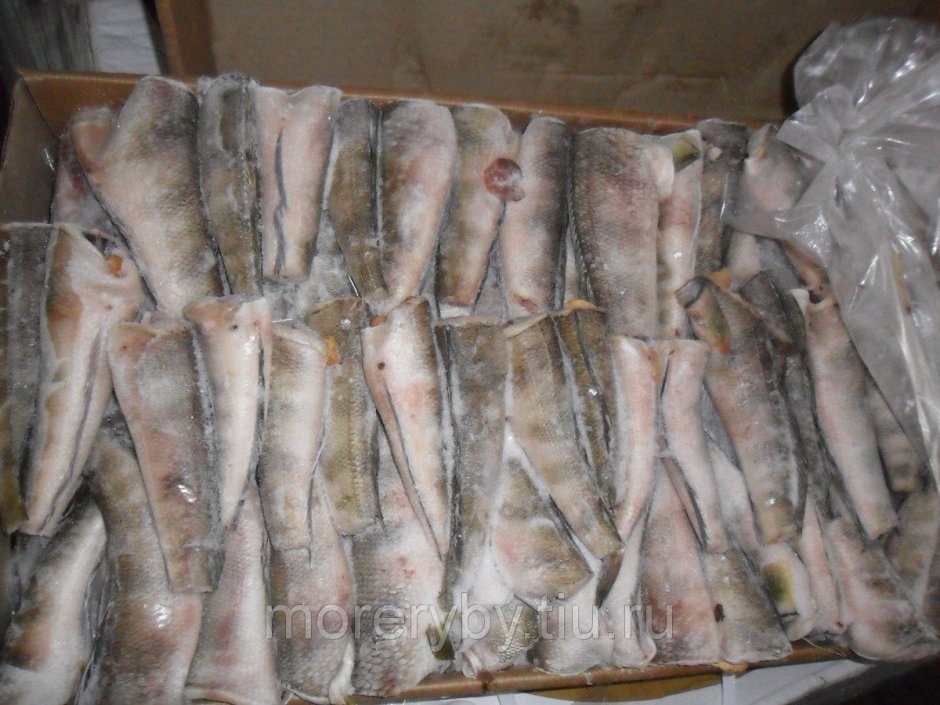 Нототения горячего копчения