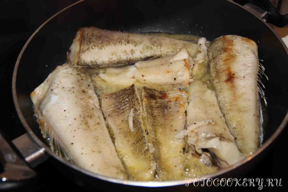 Рыба ледяной охотник