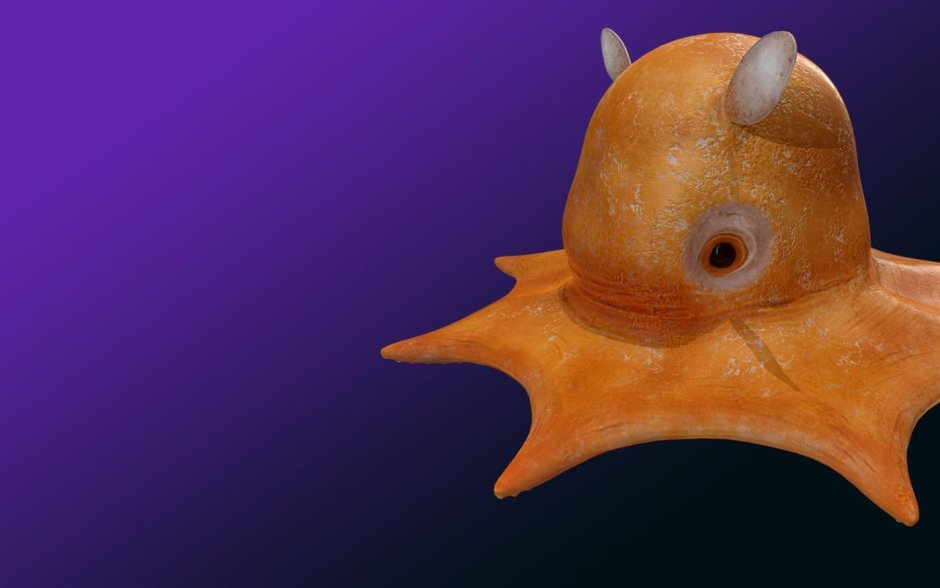 Осьминог opisthoteuthis