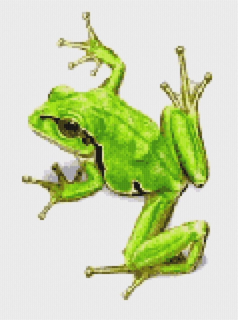 Лягушка рисунок