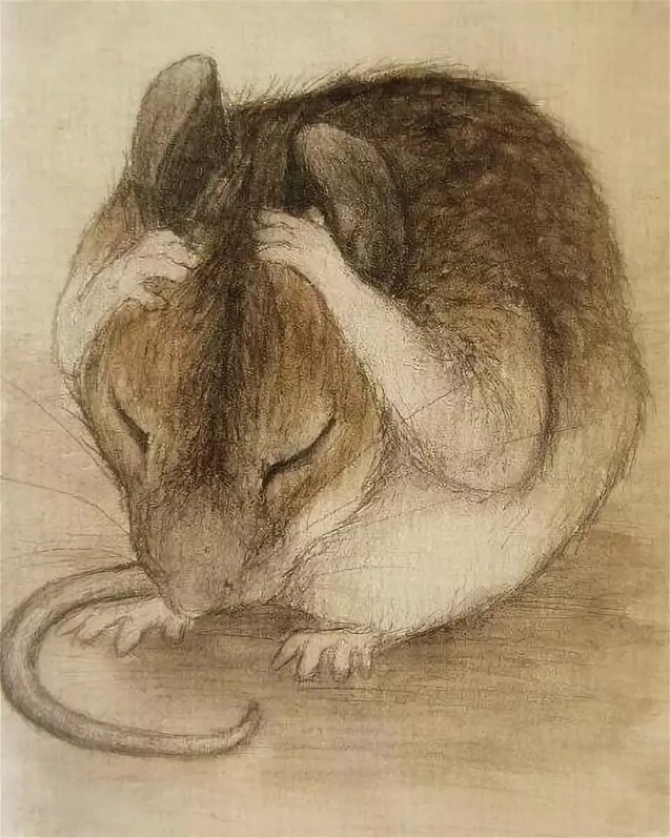 Грустный мышонок