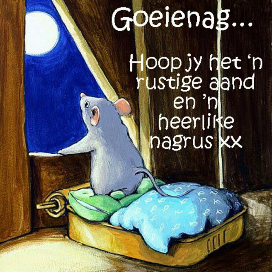 Грустный хомяк