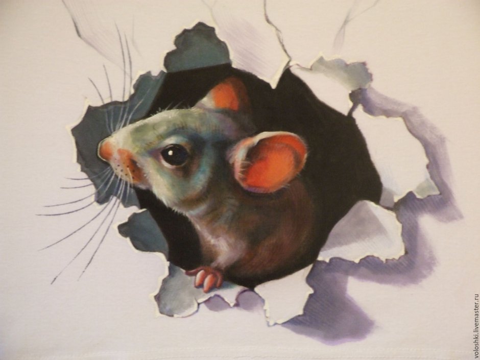 Крысы подружки