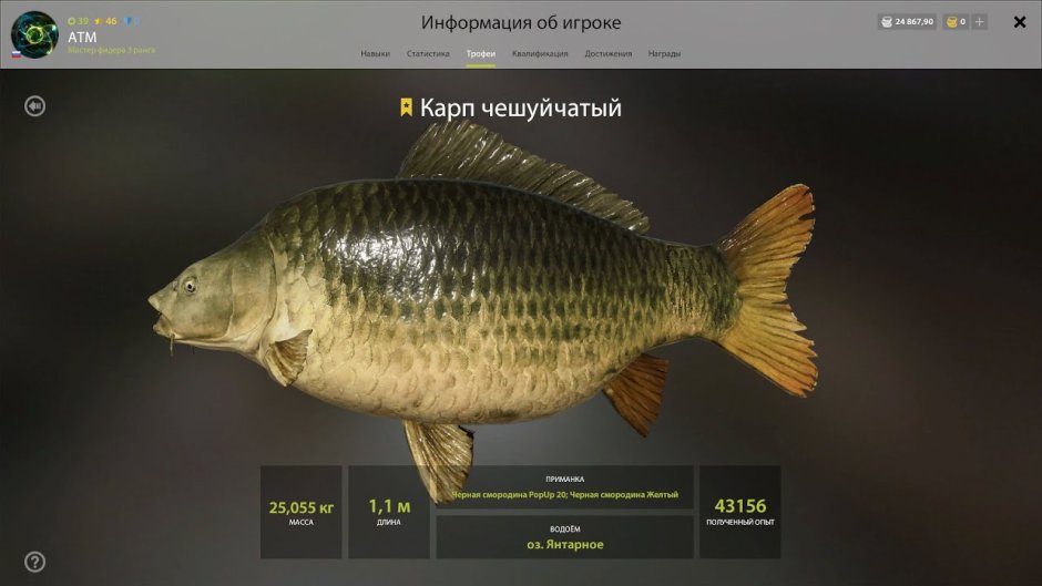 Карп обыкновенный – Cyprinus Carpio