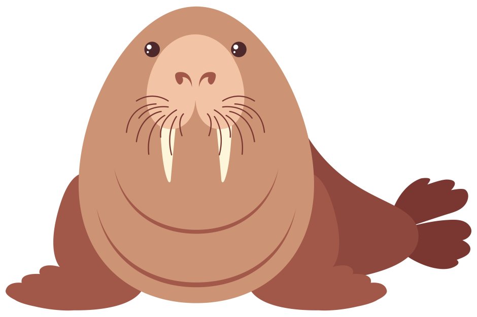 Морж vector