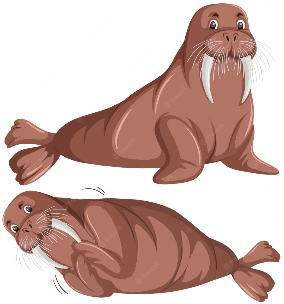 Морж секач