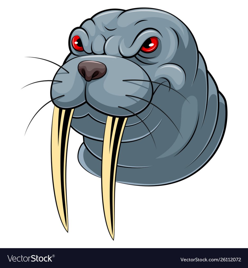 Морж для детей