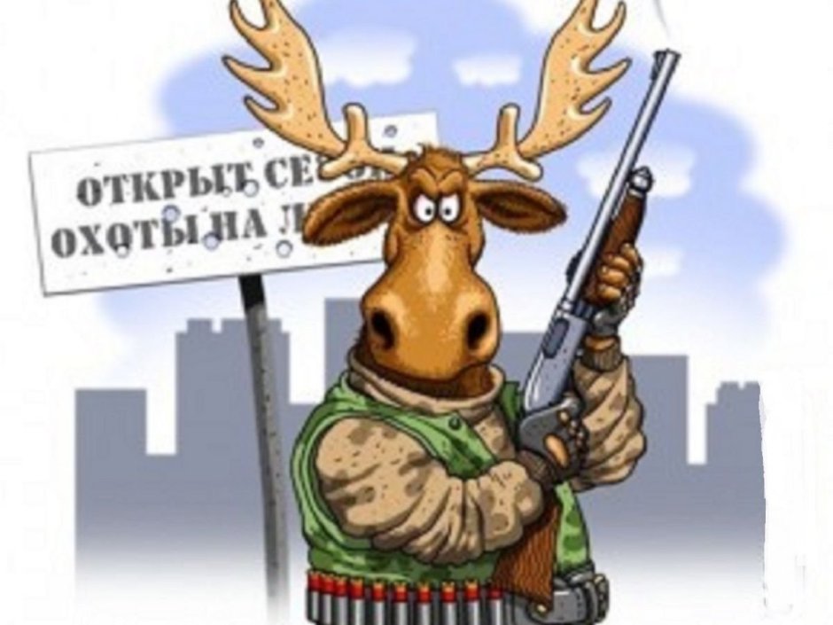 Лось прикол