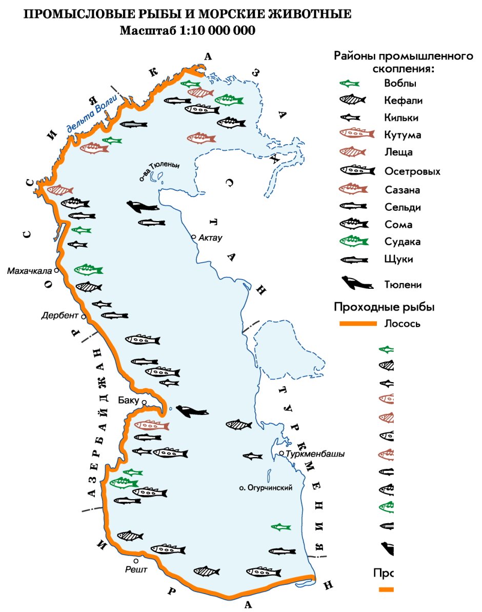 Полезные ископаемые Каспийского моря