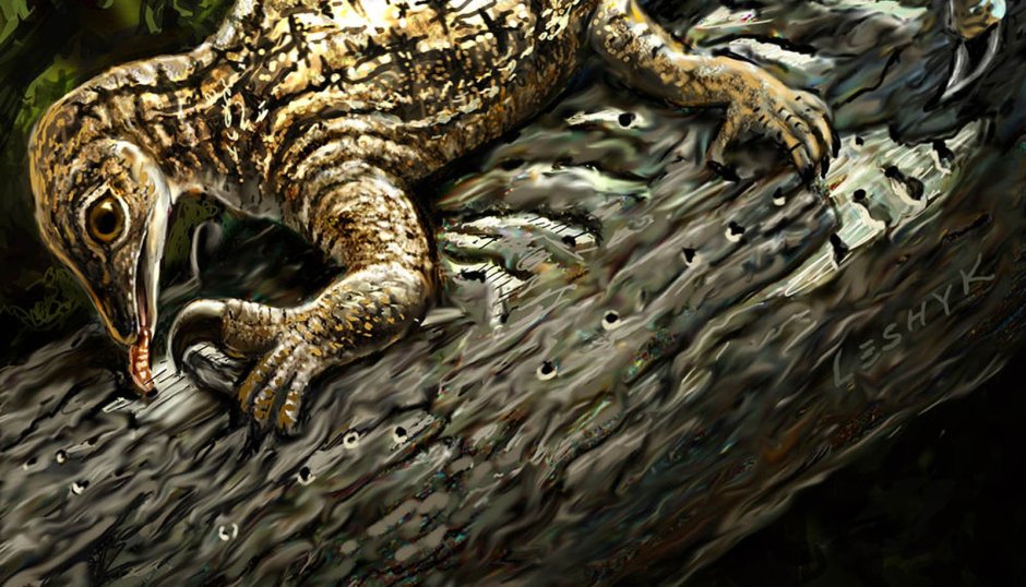 Drepanosaurus unguicaudatus