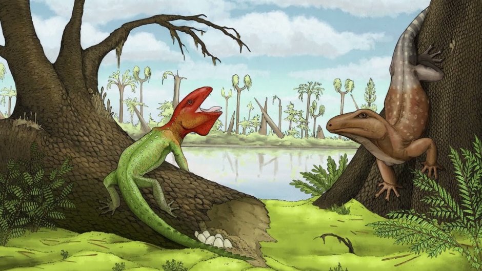 Petrolacosaurus Kansensis