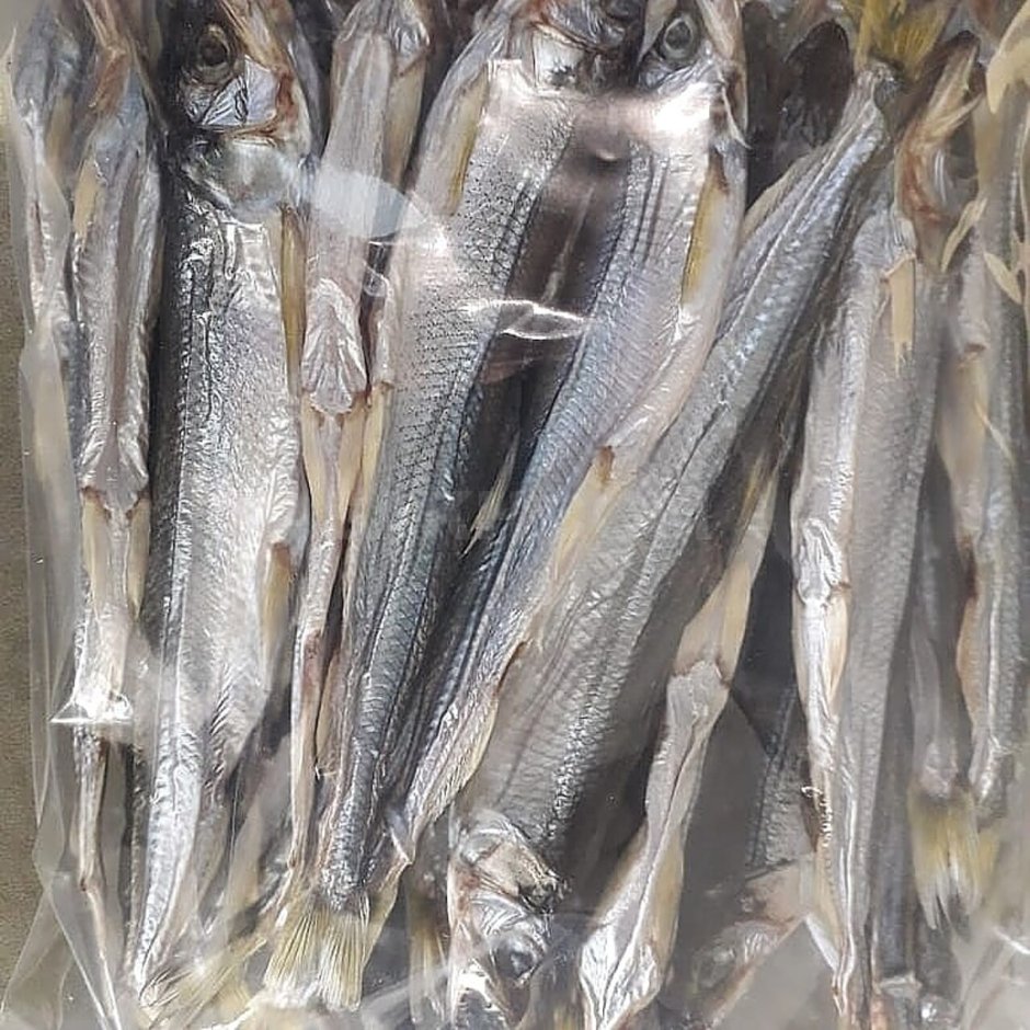 Рыба Полярная корюшка