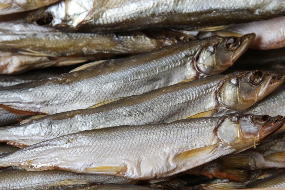 Полярная корюшка