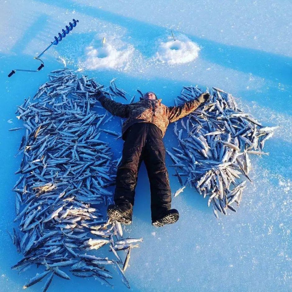 Корюшка в Калининграде
