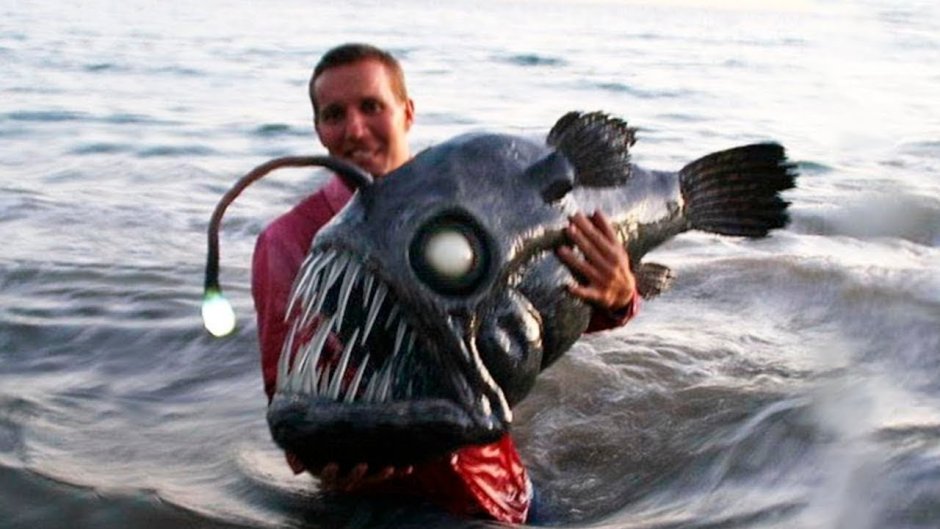 Angler Fish рыба