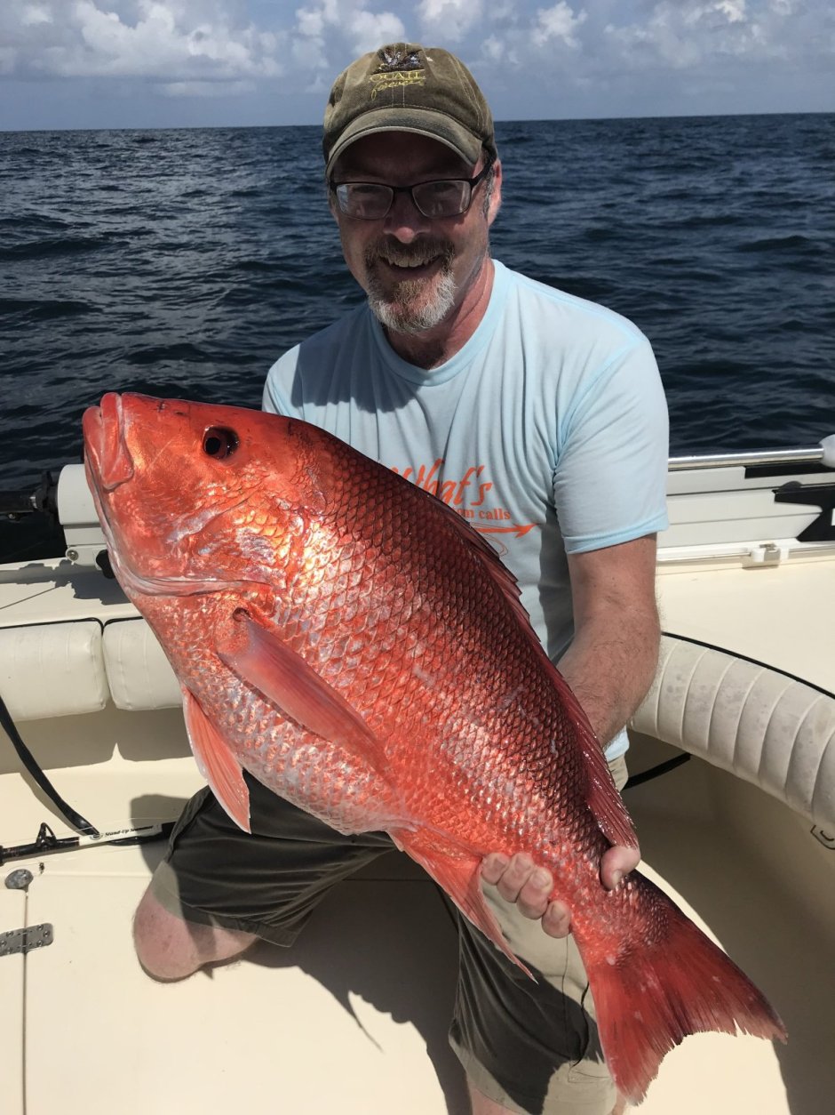 Red Snapper и Grouper