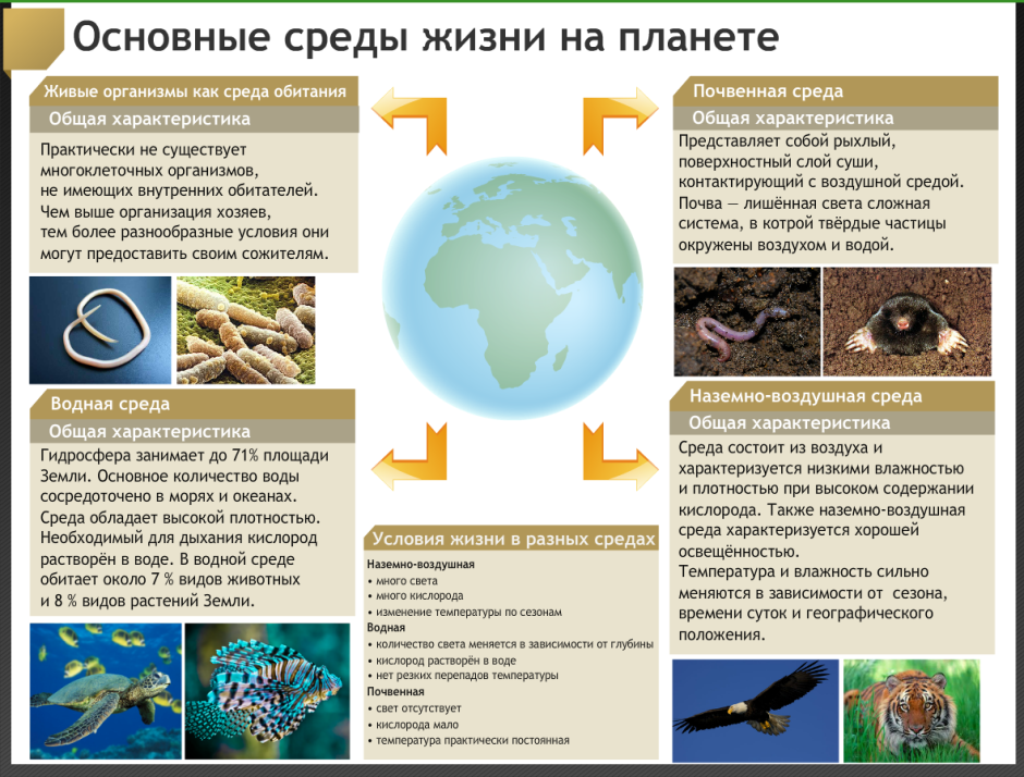 Обитатели биосферы
