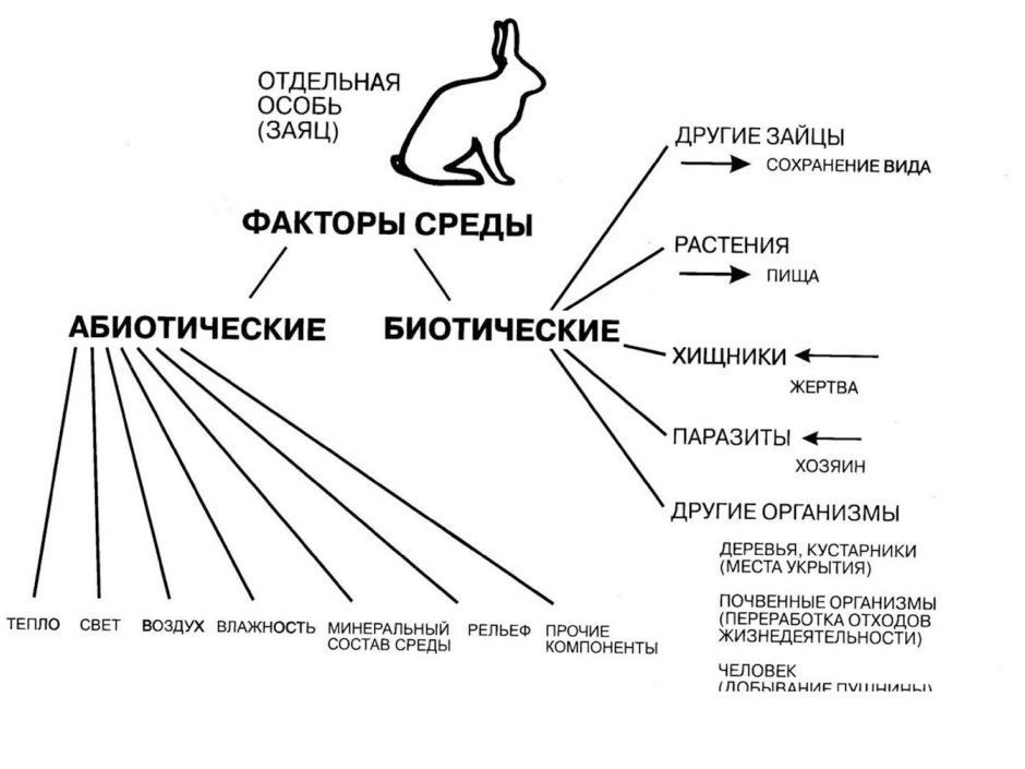 Обитатели воздушной среды
