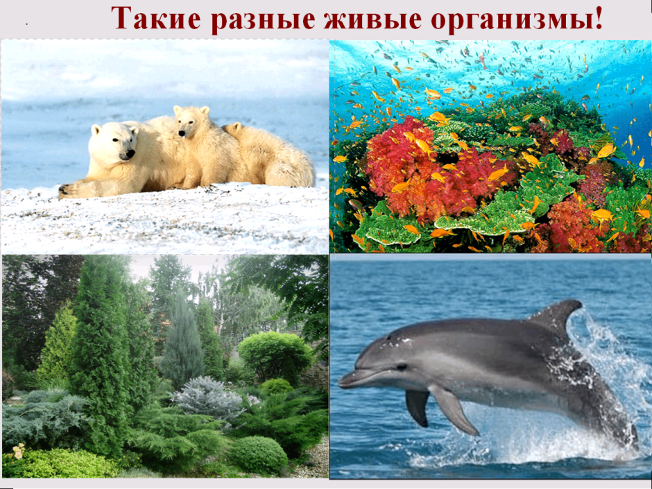 Последствия загрязнения природы