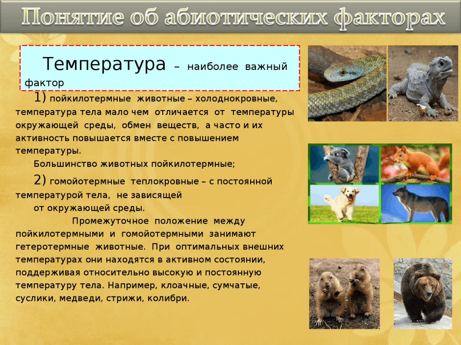 Биотические экологические факторы среды
