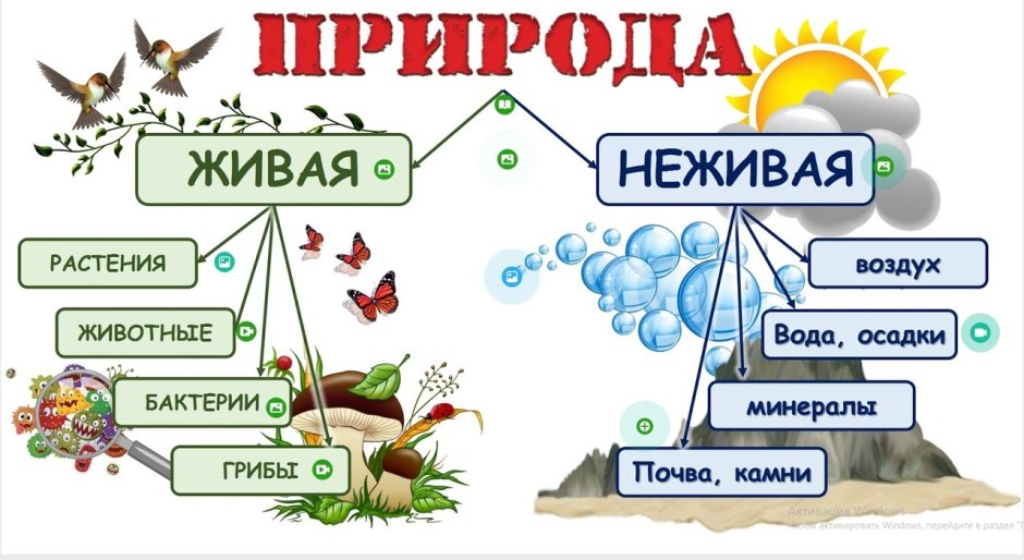 Организмы в почве