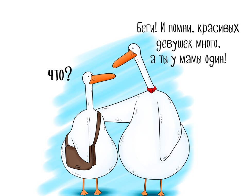 Смешные гуси с добрым утром