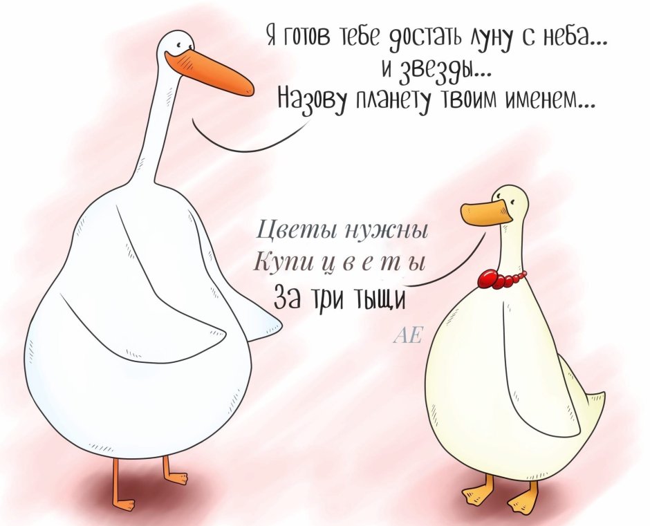 Смешные анекдоты про гусей