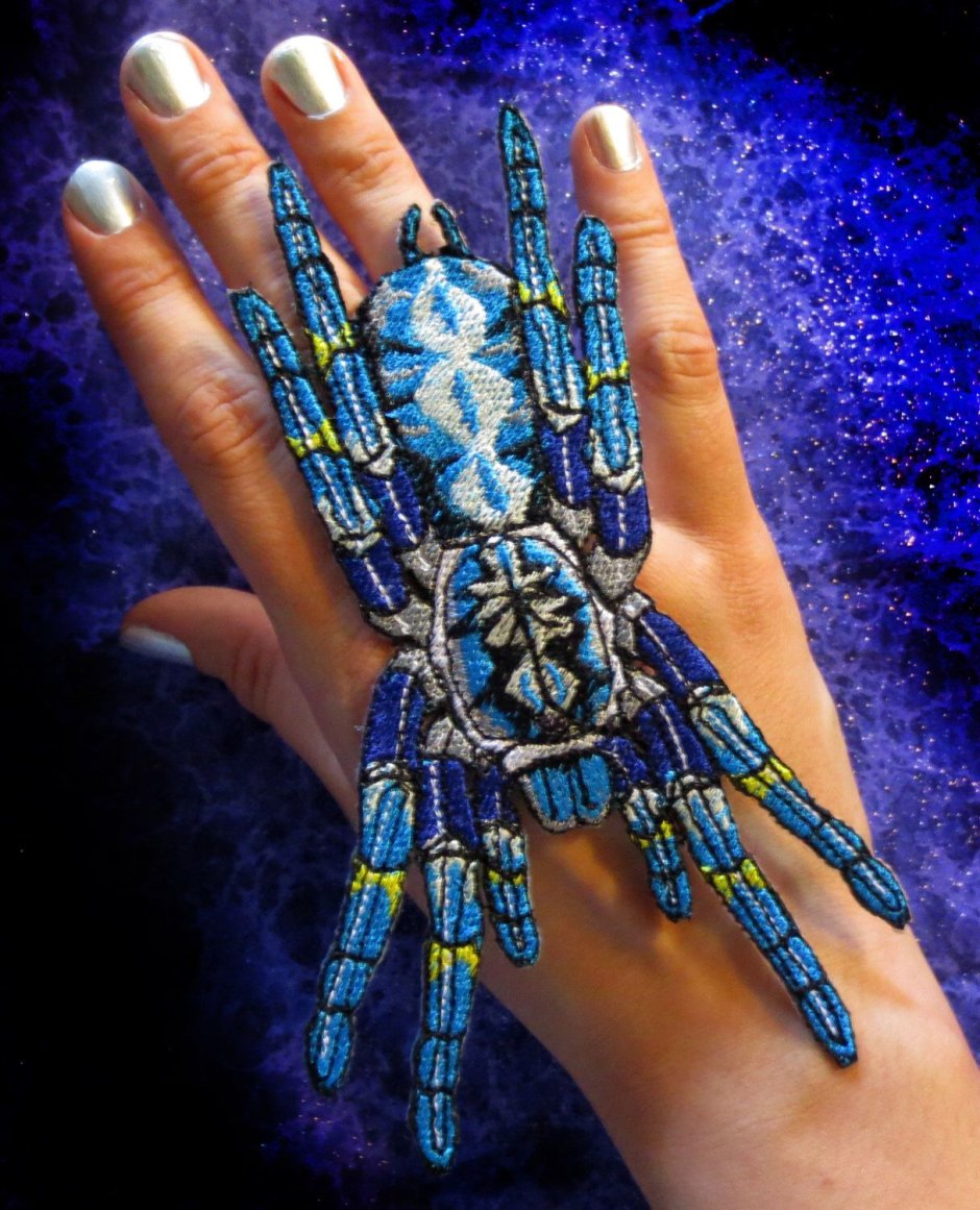 Poecilotheria Metallica паук