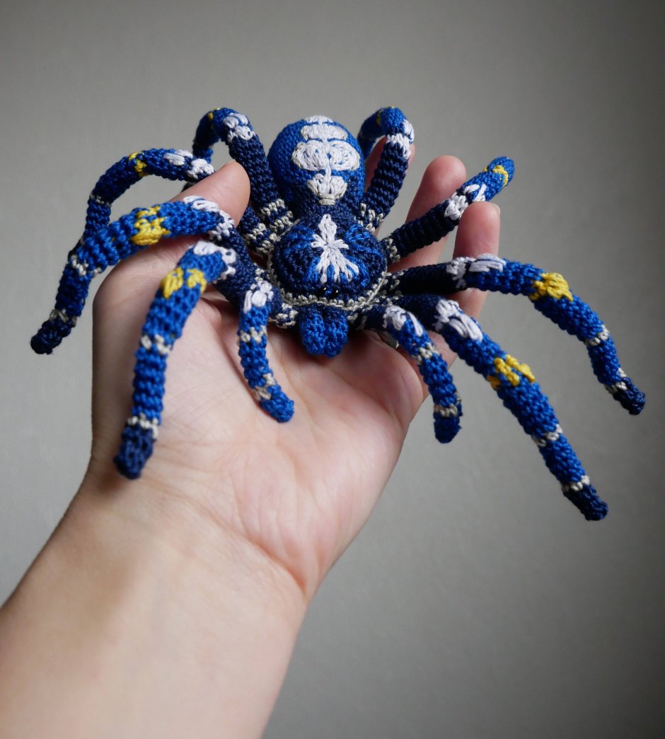 Вязаный паук мексиканский птицеед