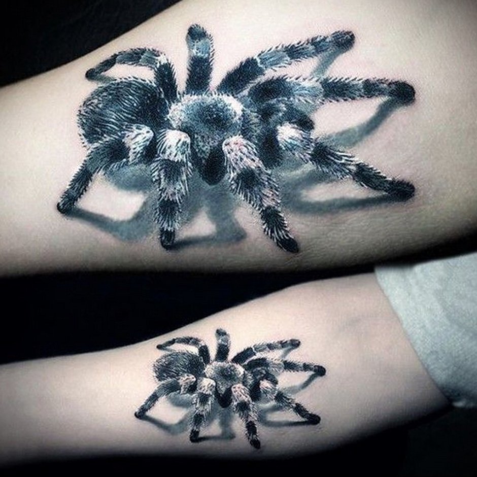 Тату паук Тарантул