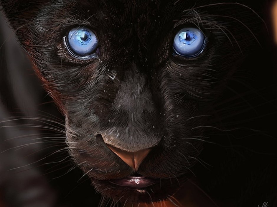 Black Pantera 96 слив
