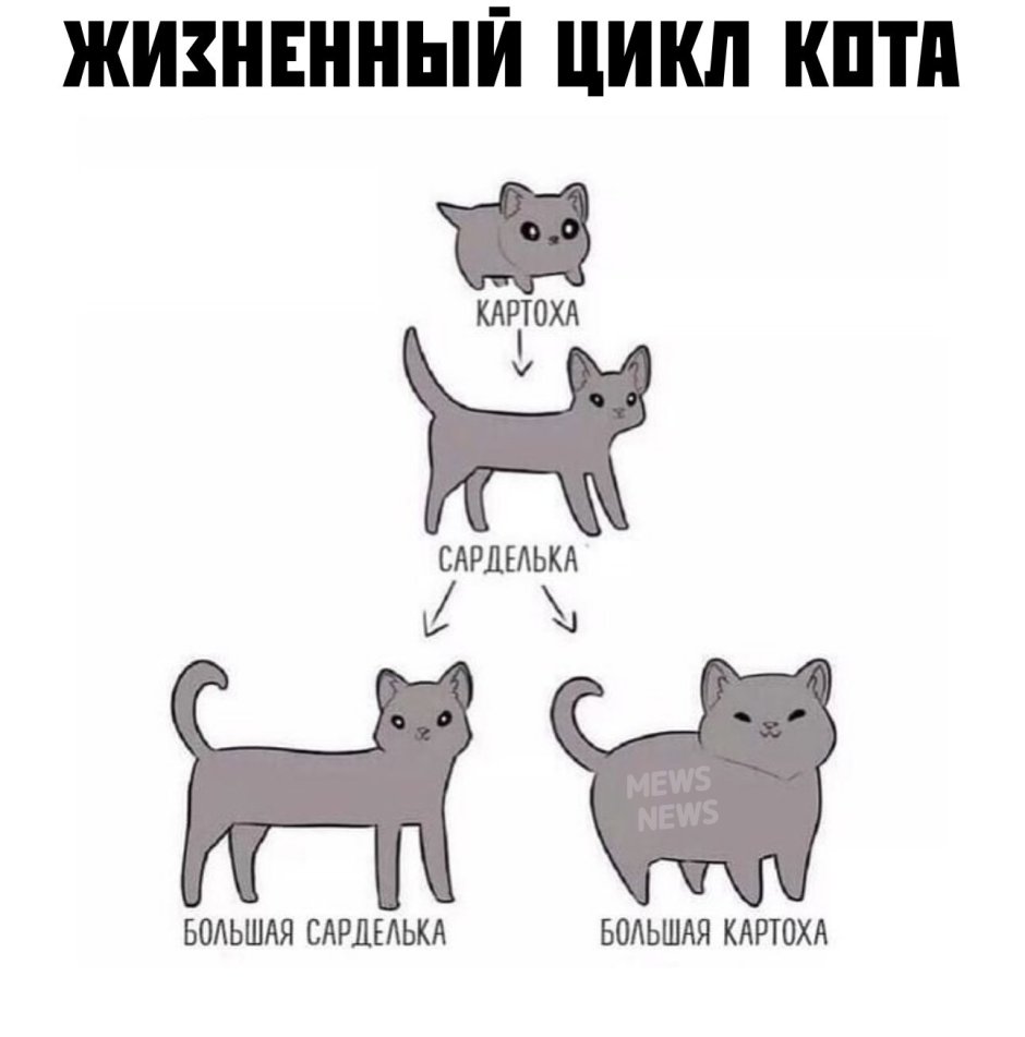 Картина Васнецова тройка с бубенцами