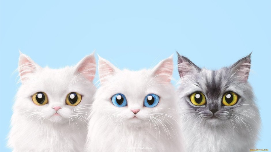 Фон с котятами