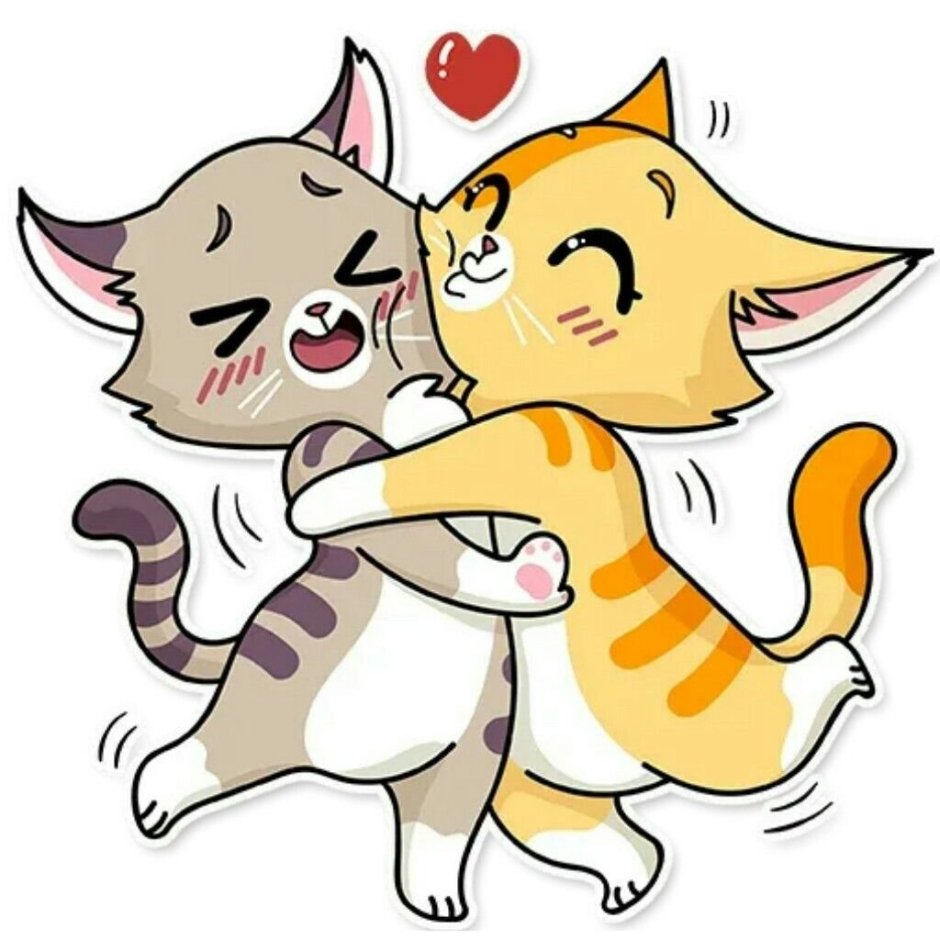 Коты банда