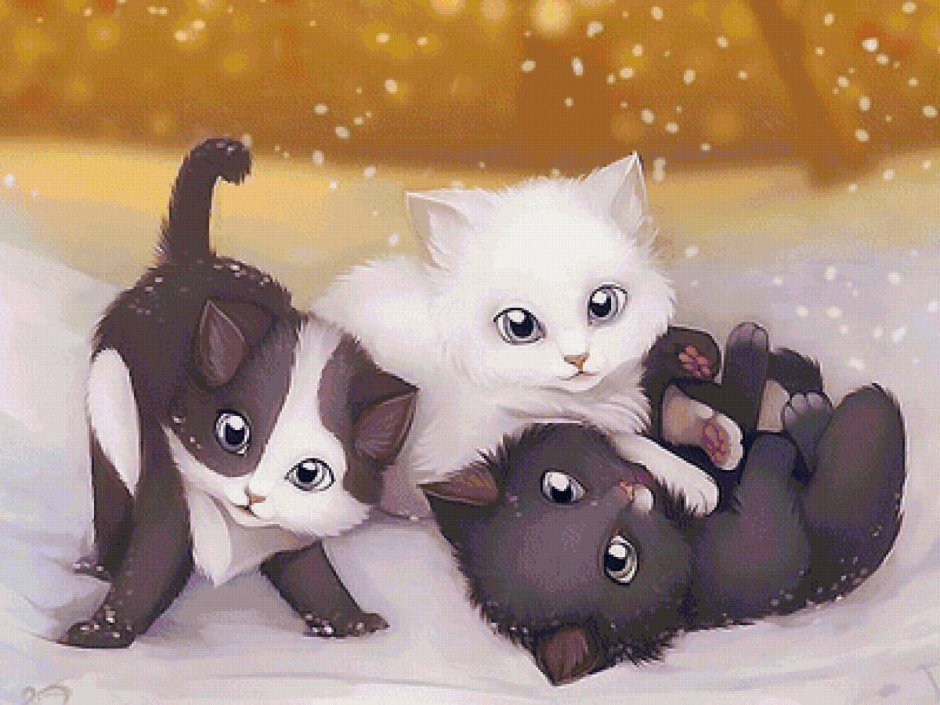 Кошка на голове у человека