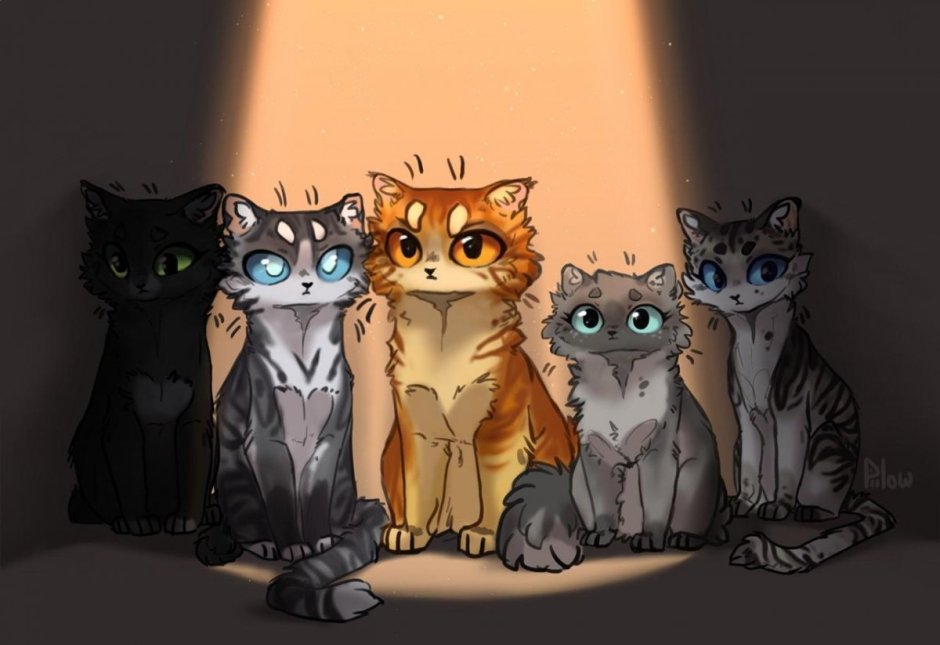 Смешная парочка котов