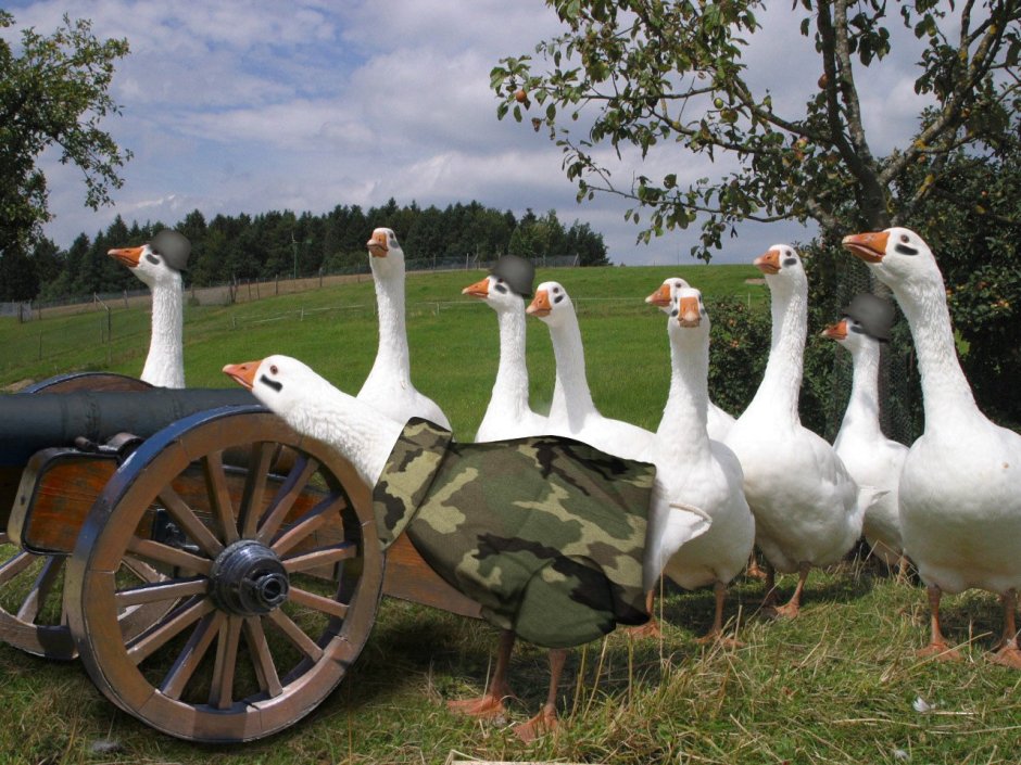 Гусь из игры untitled Goose