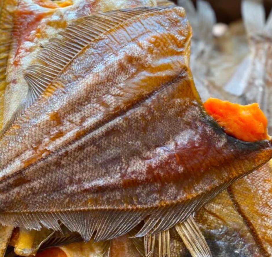 Морской ёрш камбала