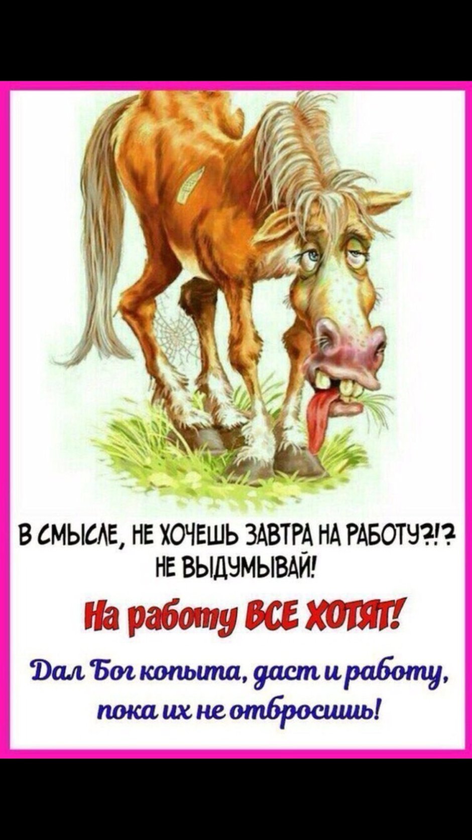 Уличная лошадь Тревор Хендерсон