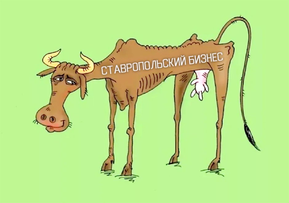 Корова карикатура