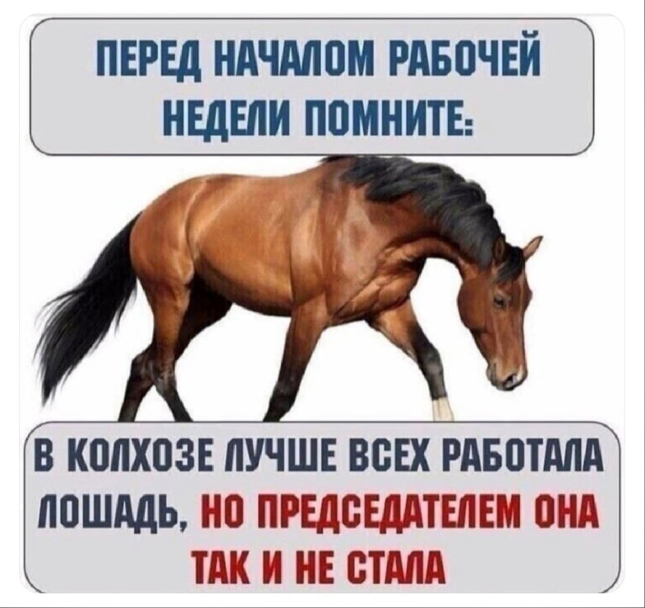 Смешной принц на коне