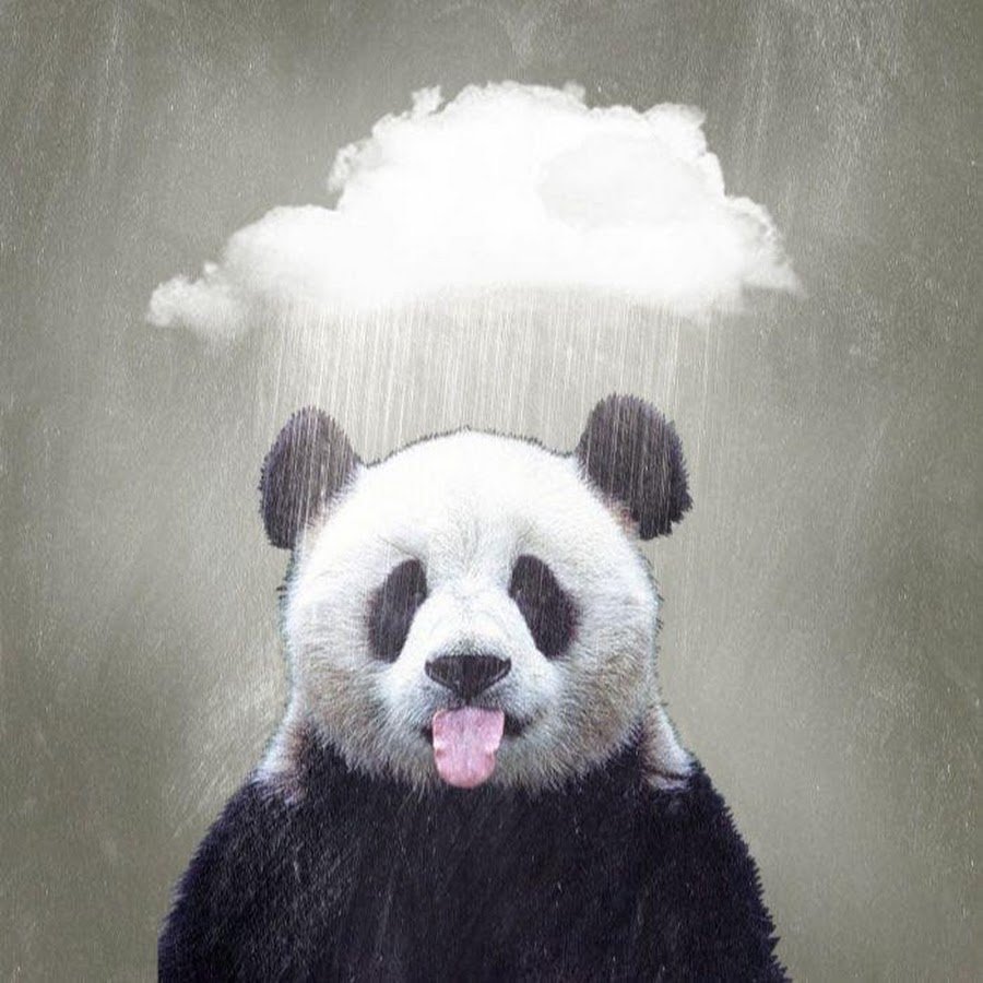 Панда показывает язык