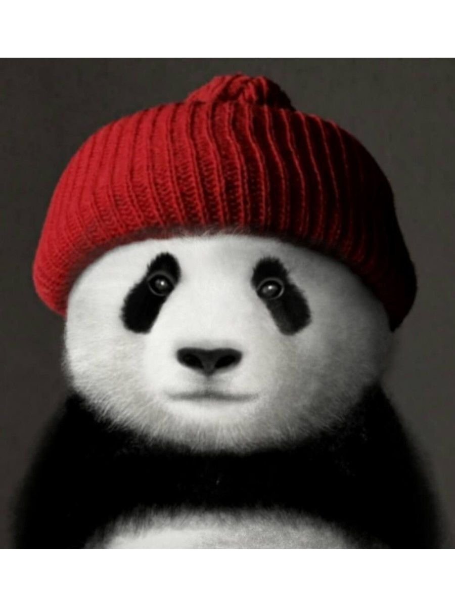 Новогодняя Панда