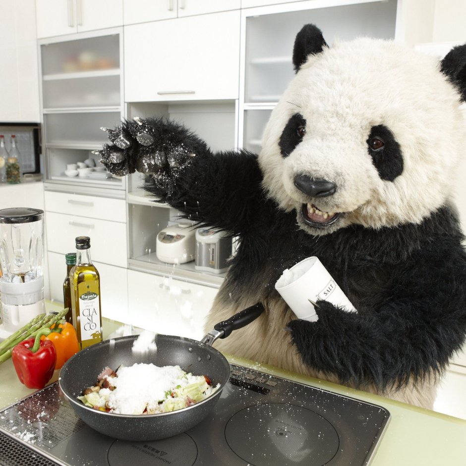 Панда Эстетика животное