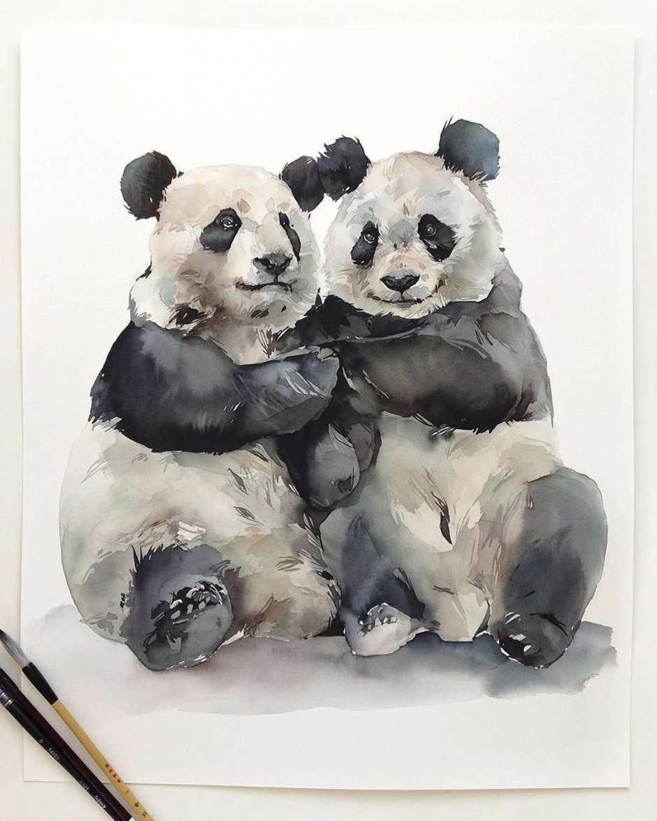 Панда акварелью
