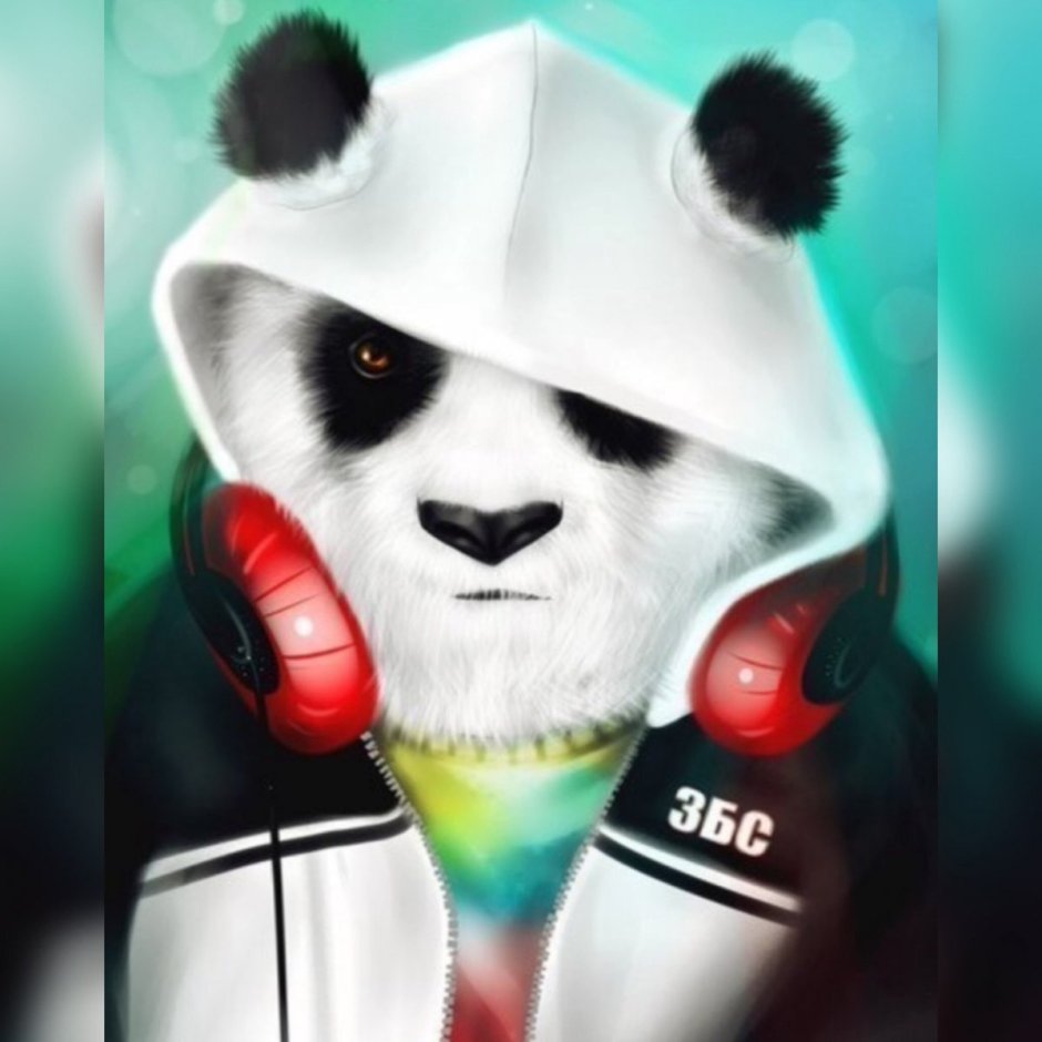 Панда в капюшоне