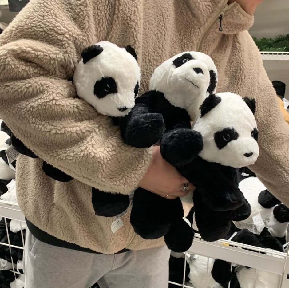 Панда Эстетика