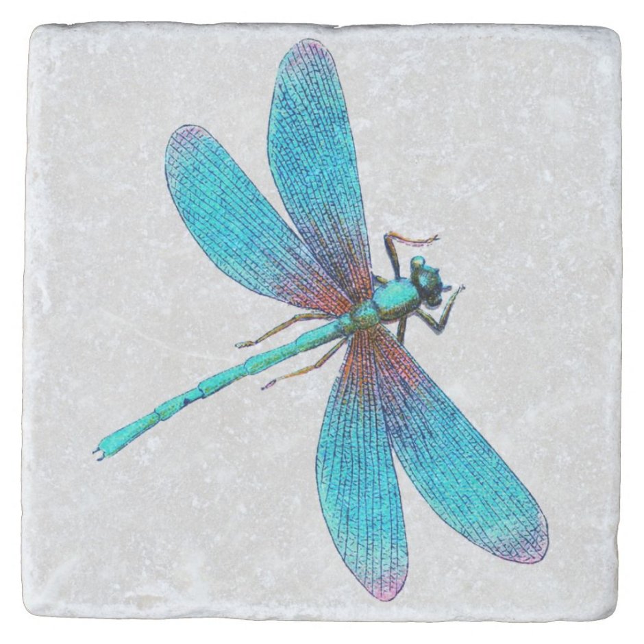Dragonfly 2001 Екатерина