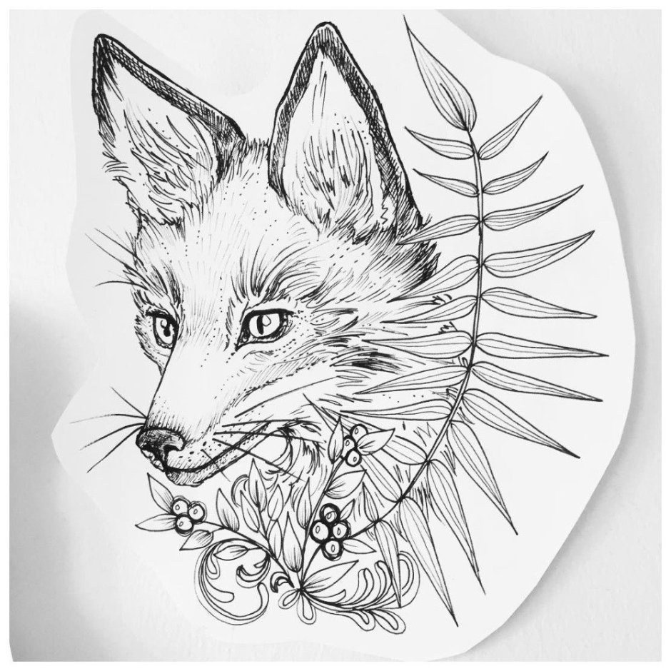 Белая лиса логотип