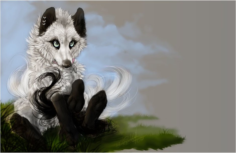 Эскизы японский волк тату